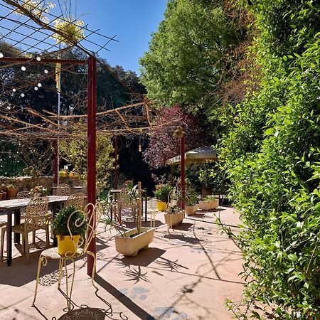 Bed and Breakfast Mas Torrencito pet friendly Parets de Ampurdá Esterno foto