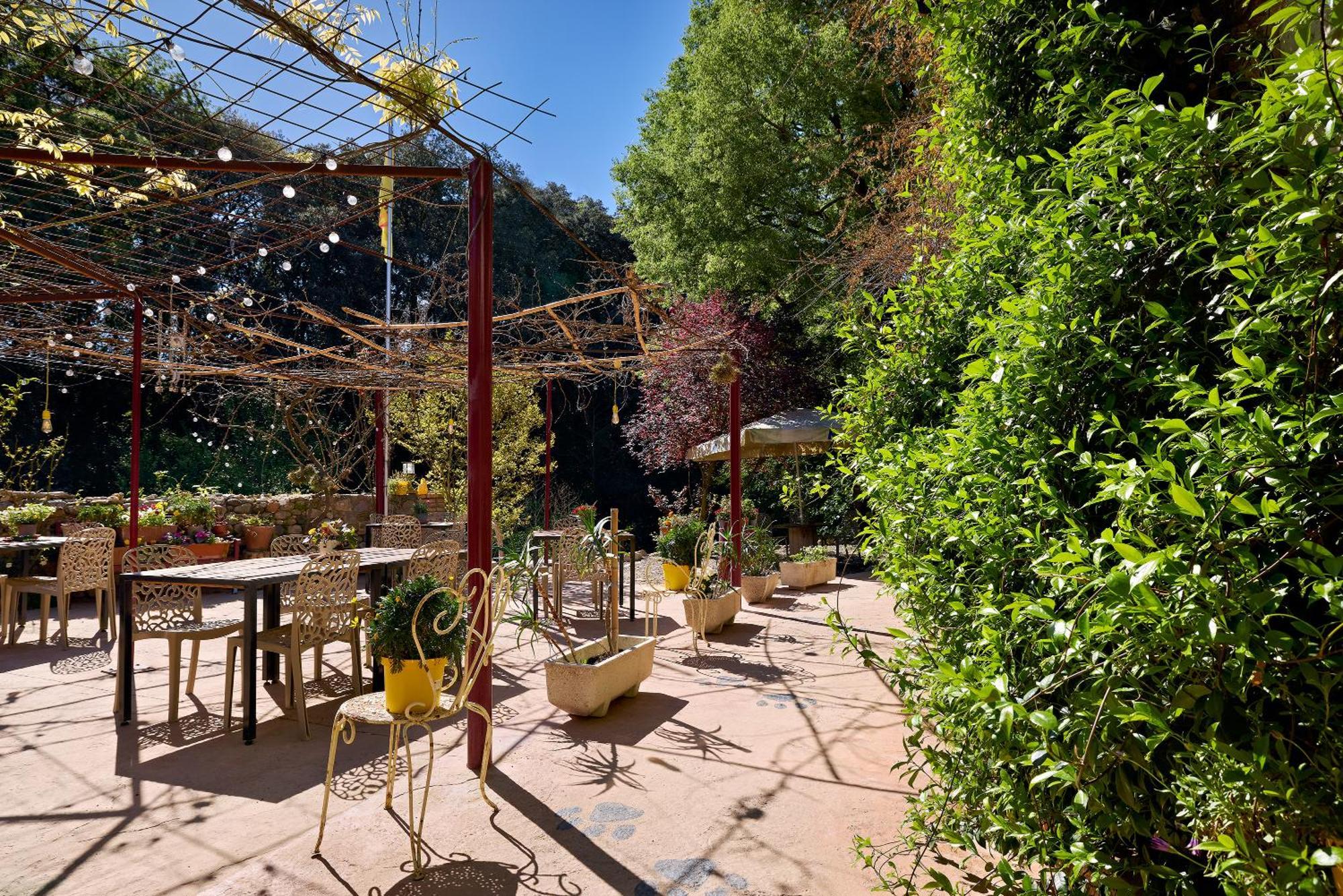 Bed and Breakfast Mas Torrencito pet friendly Parets de Ampurdá Esterno foto