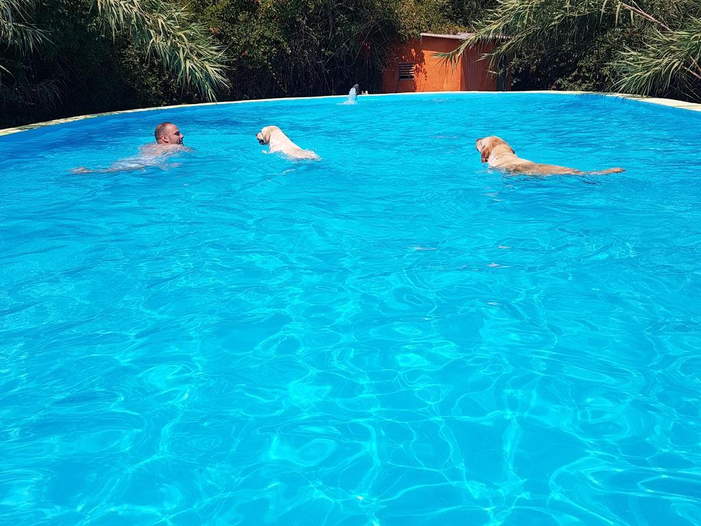 Bed and Breakfast Mas Torrencito pet friendly Parets de Ampurdá Esterno foto